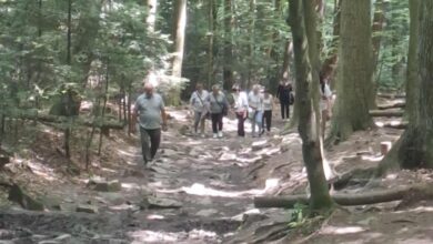 Photo of KGW: tradycja spotyka nowoczesność i integrację