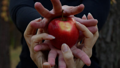 Photo of FolkOff odkrywa skarby ziemi piotrkowskiej. Nowy zespół łączy lokalny folk z elektronicznym brzmieniem