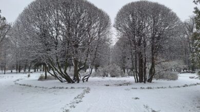 Photo of Biało w Piotrkowie! Pierwszy śnieg w tym sezonie