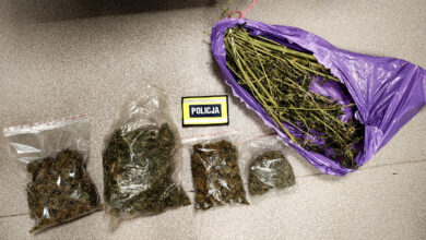 Photo of Jeden miał 770 gramów narkotyków – już trafił do aresztu, za drugim wydano 3 listy gończe – obaj wpadli w Sulejowie