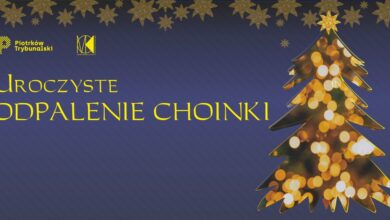 Photo of Choinka w sercu starówki rozbłyśnie w Mikołajki!
