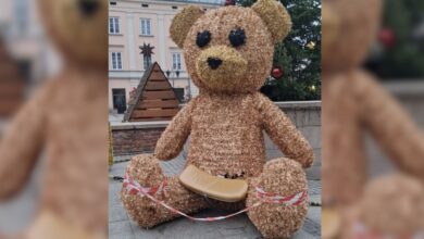 Photo of Smutny obraz w Rynku Trybunalskim. Wandale uszkodzili świątecznego misia