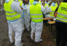 Photo of Rozpoczęła się masowa akcja poszukiwawcza padłych dzików w powiecie piotrkowskim po potwierdzeniu przypadków ASF