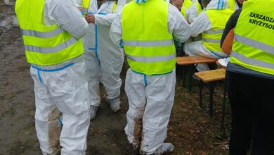 Photo of Rozpoczęła się masowa akcja poszukiwawcza padłych dzików w powiecie piotrkowskim po potwierdzeniu przypadków ASF