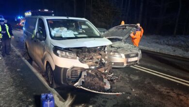 Photo of W Poniatowie zderzyły się dwa pojazdy. Kawałek dalej, pod ciężarówkę wpadł łoś