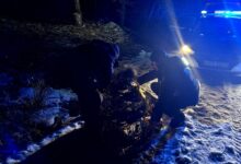 Photo of Akcja ratunkowa w lasach pod Żerechową w gminie Łęki Szlacheckie