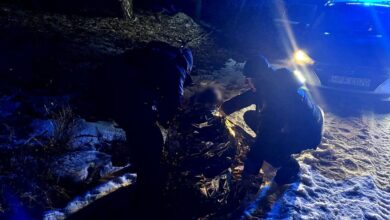 Photo of Akcja ratunkowa w lasach pod Żerechową w gminie Łęki Szlacheckie