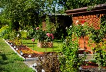 Photo of Milion złotych na rozkwit Rodzinnych Ogrodów Działkowych w Łódzkiem