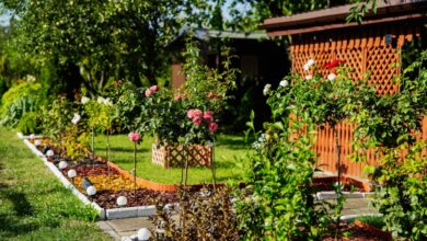 Photo of Milion złotych na rozkwit Rodzinnych Ogrodów Działkowych w Łódzkiem