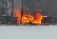 Photo of Pożar domków letniskowych na Polance w Sulejowie