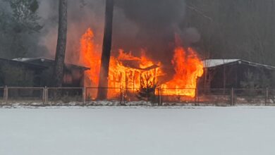 Photo of Pożar domków letniskowych na Polance w Sulejowie
