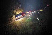 Photo of Akcja ratunkowa w lasach pod Żerechową w gminie Łęki Szlacheckie