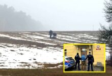 Photo of Miał ukrywać się w stodole, uciekał przez pola…