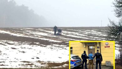 Photo of Miał ukrywać się w stodole, uciekał przez pola…