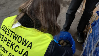 Photo of Zmieniają się przepisy ochrony roślin