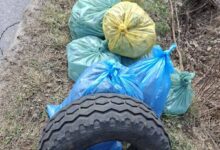 Photo of Grabostów świeci przykładem. Mieszkańcy wspólnie posprzątali las i pobocza