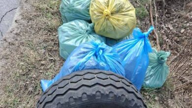 Photo of Grabostów świeci przykładem. Mieszkańcy wspólnie posprzątali las i pobocza