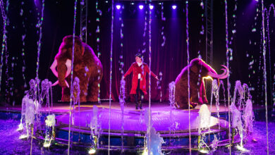 Photo of IMPERIAL SHOW. Cyrk na wodzie w Piotrkowie