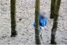 Photo of 76-letni kłusownik zatrzymany. Mężczyzna rozstawiał wnyki między drzewami