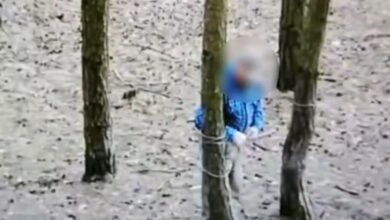 Photo of 76-letni kłusownik zatrzymany. Mężczyzna rozstawiał wnyki między drzewami