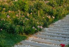 Photo of Przygotuj swój ogród na nadchodzący sezon