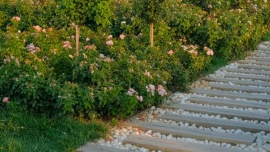 Photo of Przygotuj swój ogród na nadchodzący sezon