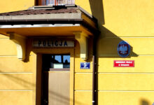 Photo of Poszukiwany przed policją uciekł na drzewo