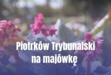 Photo of Majówka w Piotrkowie Trybunalskim. Sprawdź, gdzie spędzić weekend!
