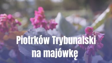 Photo of Majówka w Piotrkowie Trybunalskim. Sprawdź, gdzie spędzić weekend!