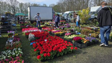 Photo of Rekord frekwencji podczas XIX targów „Pamiętajmy o ogrodach”