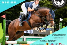 Photo of Sportowe emocje, rodzinne atrakcje i wyjątkowa atmosfera w Stadzie Ogierów w Bogusławicach