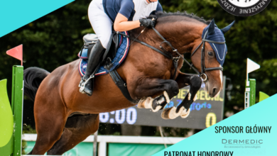 Photo of Sportowe emocje, rodzinne atrakcje i wyjątkowa atmosfera w Stadzie Ogierów w Bogusławicach