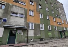 Photo of Smród i kilkanaście kotów w jednym mieszkaniu. Mieszkańcy bloku przy Roosevelta mają dość