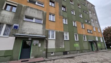 Photo of Smród i kilkanaście kotów w jednym mieszkaniu. Mieszkańcy bloku przy Roosevelta mają dość