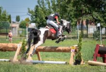 Photo of IV etap eliminacji do Polskiej Ligi Jeździeckiej w Bogusławicach
