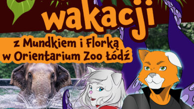 Photo of Ostatnia wakacyjna przygoda? Orientarium ZOO Łódź zaprasza na wyjątkowy weekend!