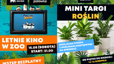 Photo of Roślinna dżungla atrakcji w Orientarium. Noc pod wodą, targi roślin, warsztaty i wieczorne kino