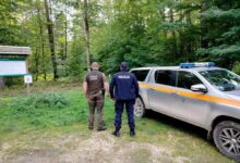 Photo of Wspólne patrole w naszych lasach. Policjant i strażnik leśny dbają o bezpieczeństwo grzybiarzy
