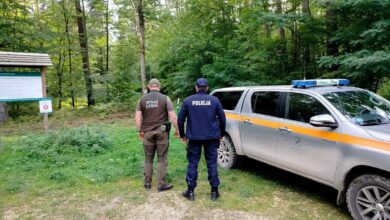 Photo of Wspólne patrole w naszych lasach. Policjant i strażnik leśny dbają o bezpieczeństwo grzybiarzy