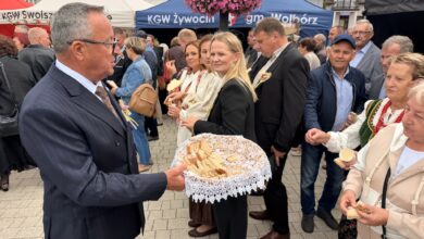 Photo of Dożynki Gminno-Parafialne w Wolborzu. Święto plonów, tradycji i wspólnoty