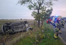 Photo of Wypadek w Cisowej. Pijany kierowca uderzył w drzewo i dachował