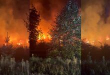 Photo of Pożar w Skotnikach. Płonie tartak, na miejscu pracuje co najmniej 9 zastępów straży