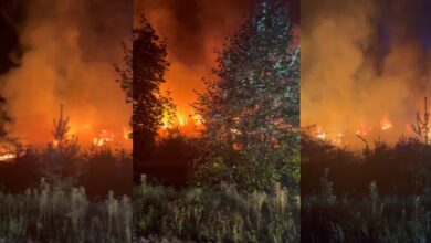Photo of Pożar w Skotnikach. Płonie tartak, na miejscu pracuje co najmniej 9 zastępów straży