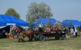dozynki czarnocin (33)