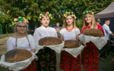 dzozynki powiatowe 2018 (150)