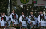 folk festiwal (173)