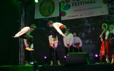folk festiwal (292)