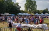 folk festiwal (396)