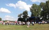 folk festiwal (69)