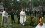 report (12)